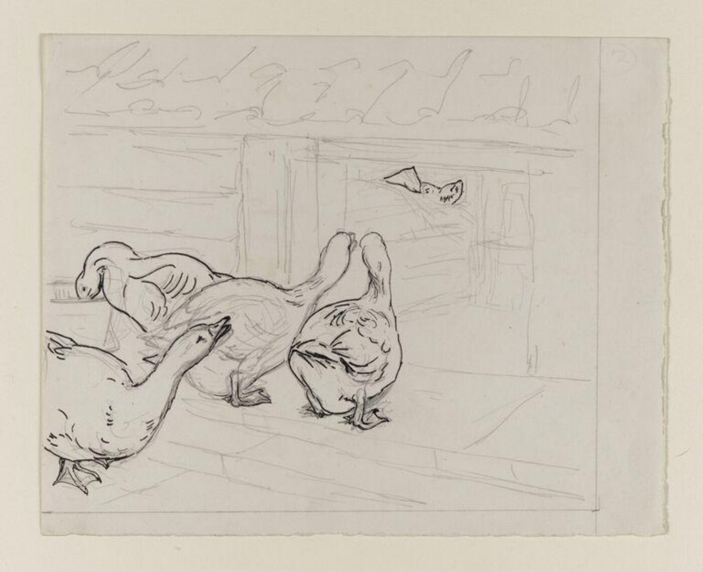 Potter, Beatrix, drawing