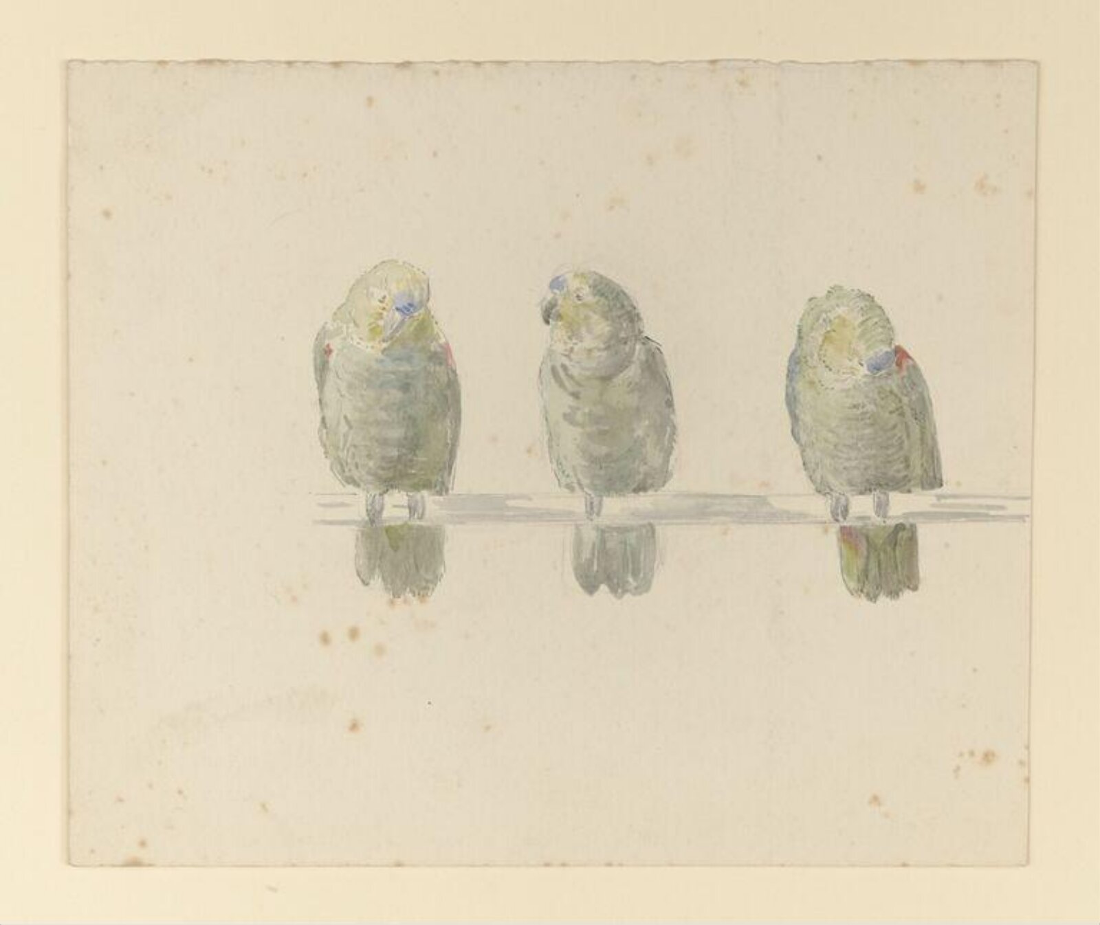Watercolour, Beatrix Potter, ca.1880