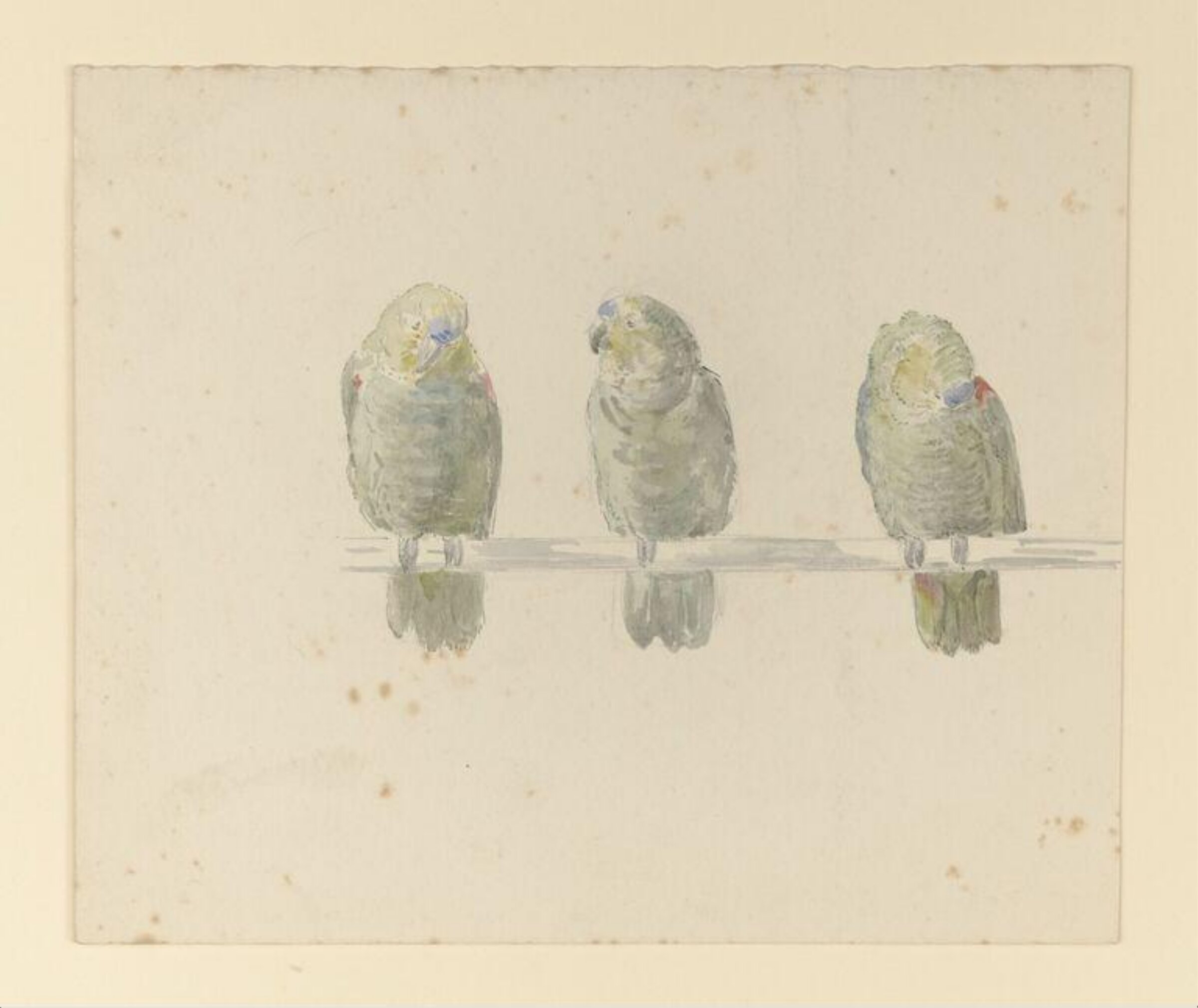 Watercolour, Beatrix Potter, ca.1880
