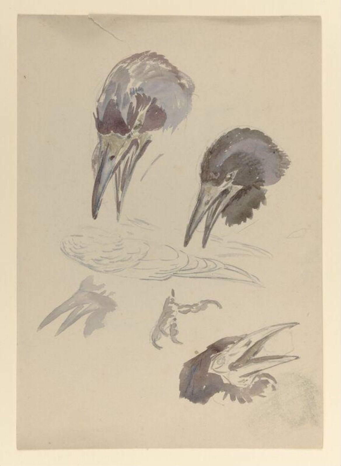 Watercolour, Bertram Potter, late 19th century