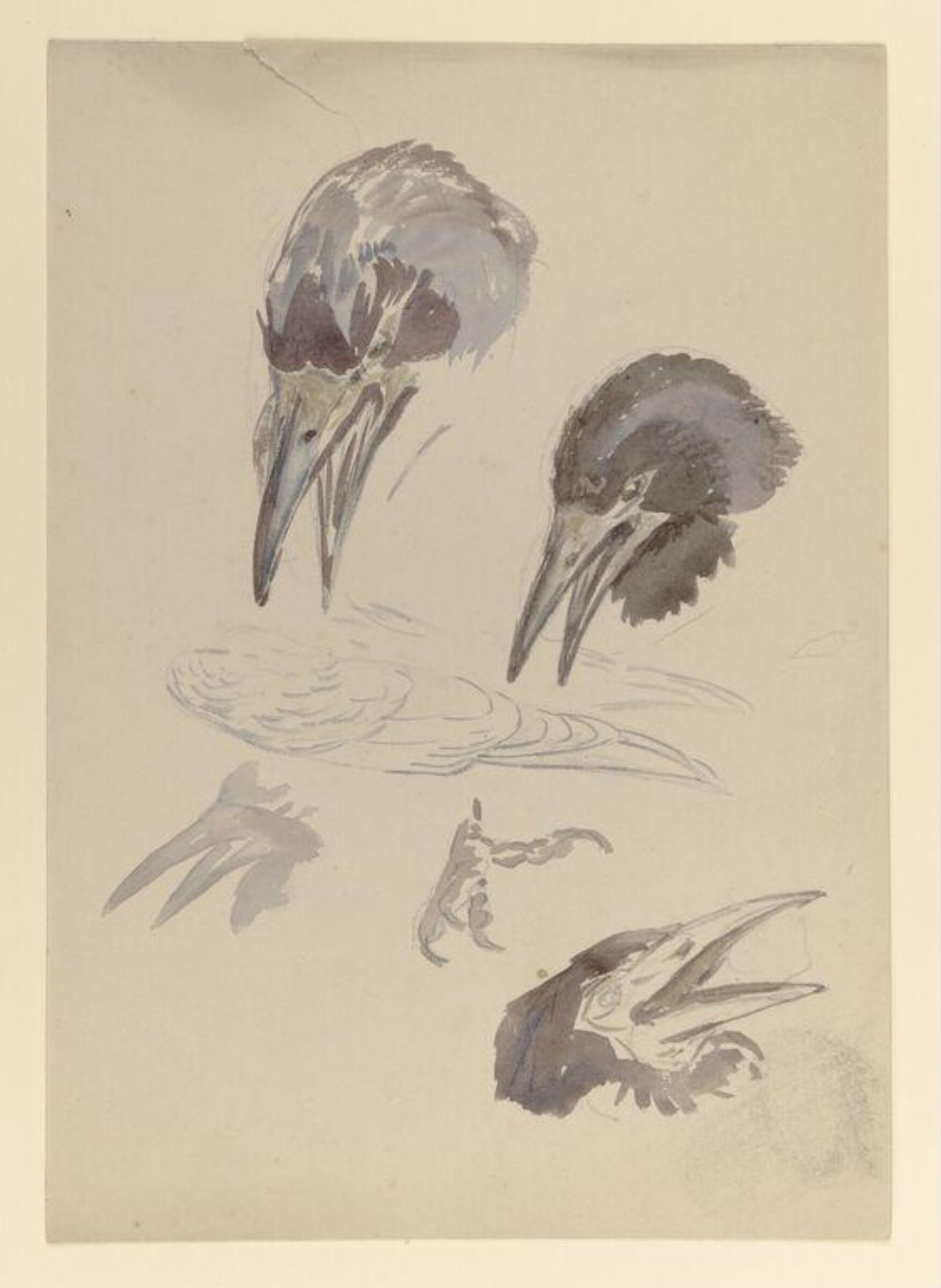 Watercolour, Bertram Potter, late 19th century