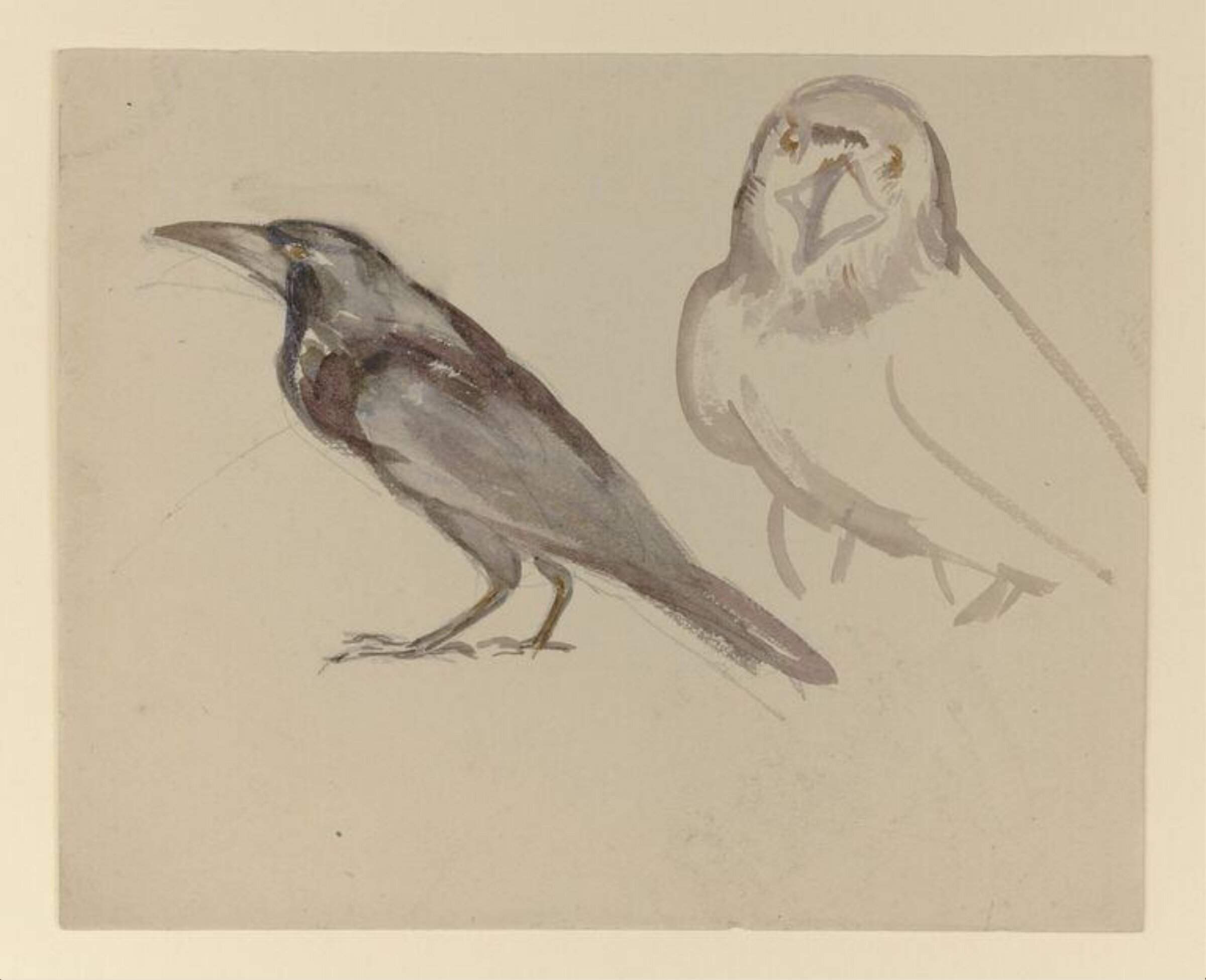 Watercolour, Bertram Potter, late 19th century