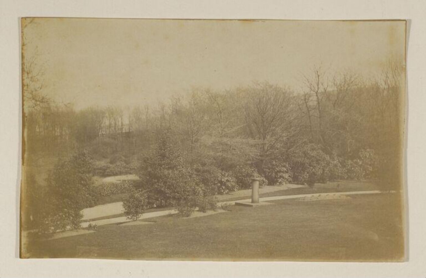 Unknown, Photograph