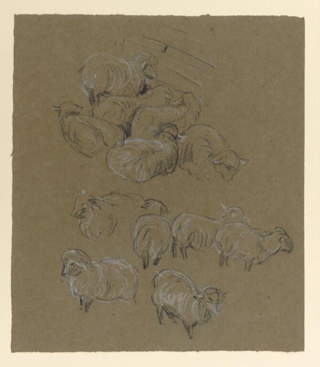 Potter, Beatrix, drawing