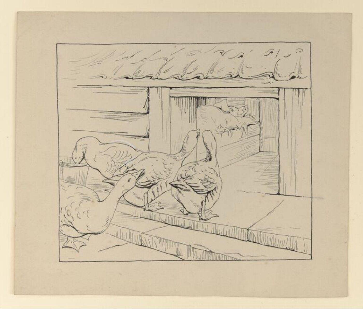 Potter, Beatrix, drawing