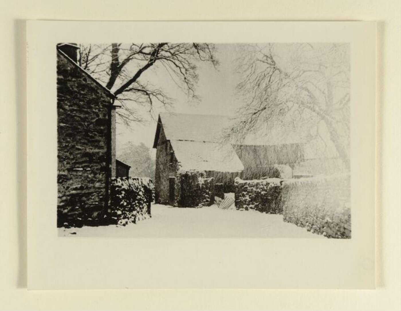 Unknown, Photograph