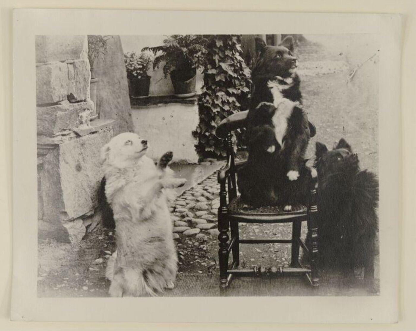 Potter, Beatrix, Photograph