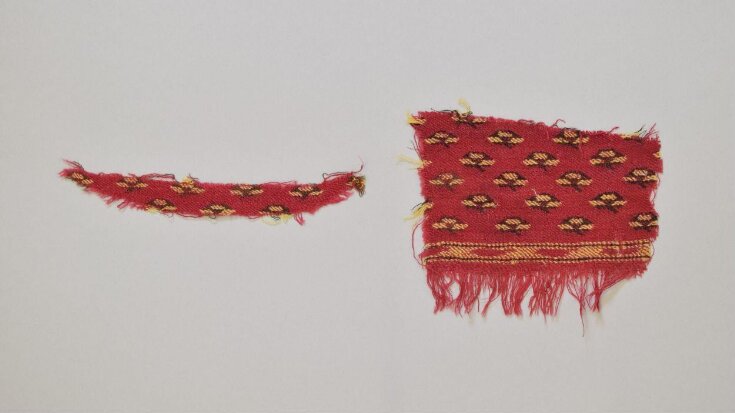 Textile Fragment top image