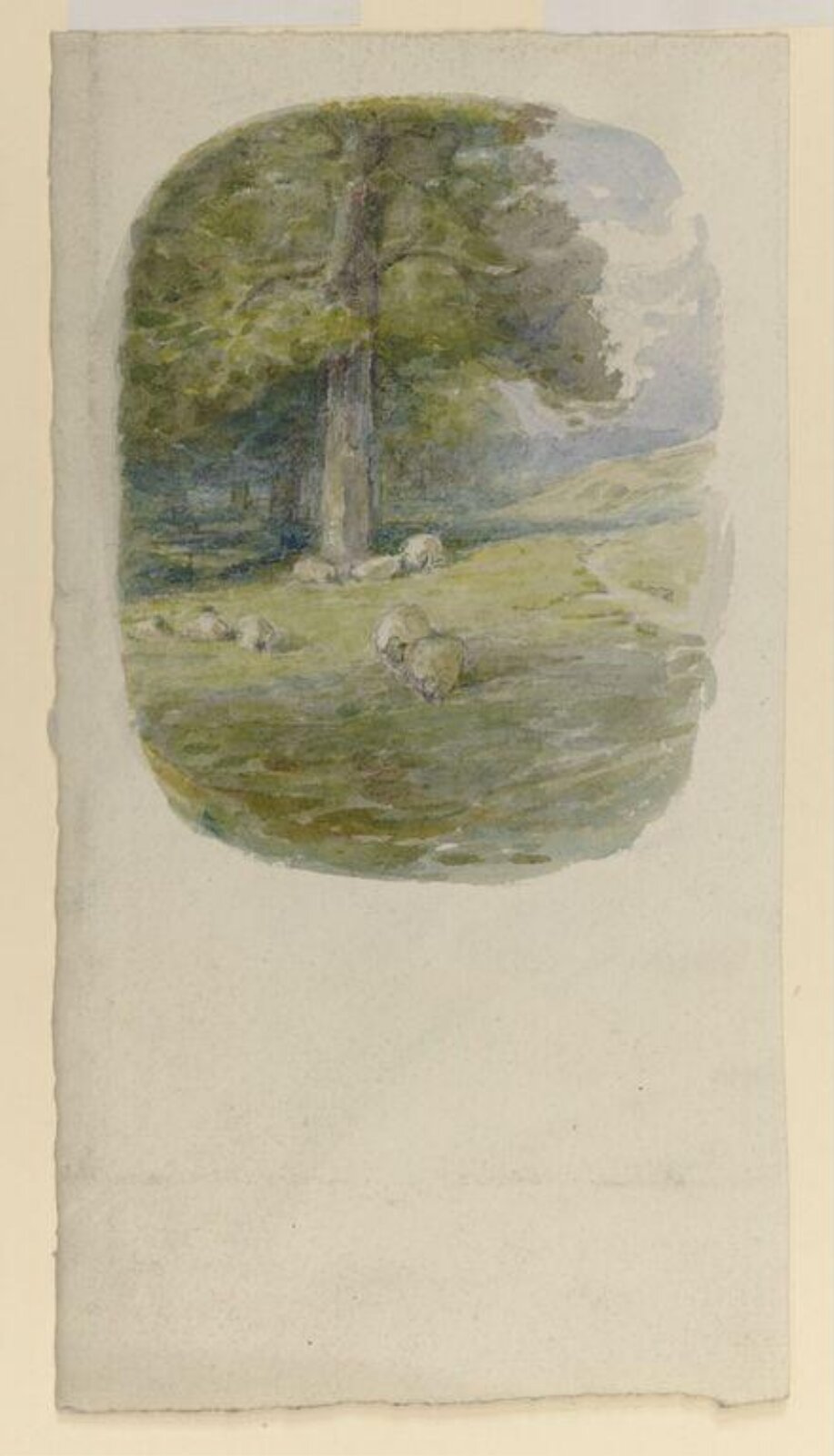 Watercolour, Beatrix Potter, ca.1900