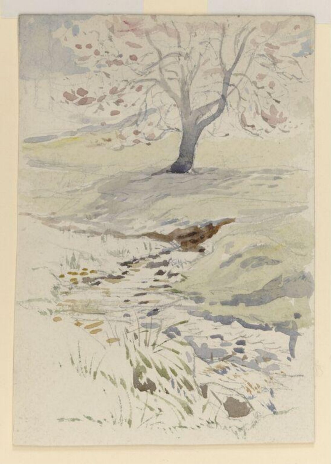 Watercolour, Beatrix Potter, ca.1900