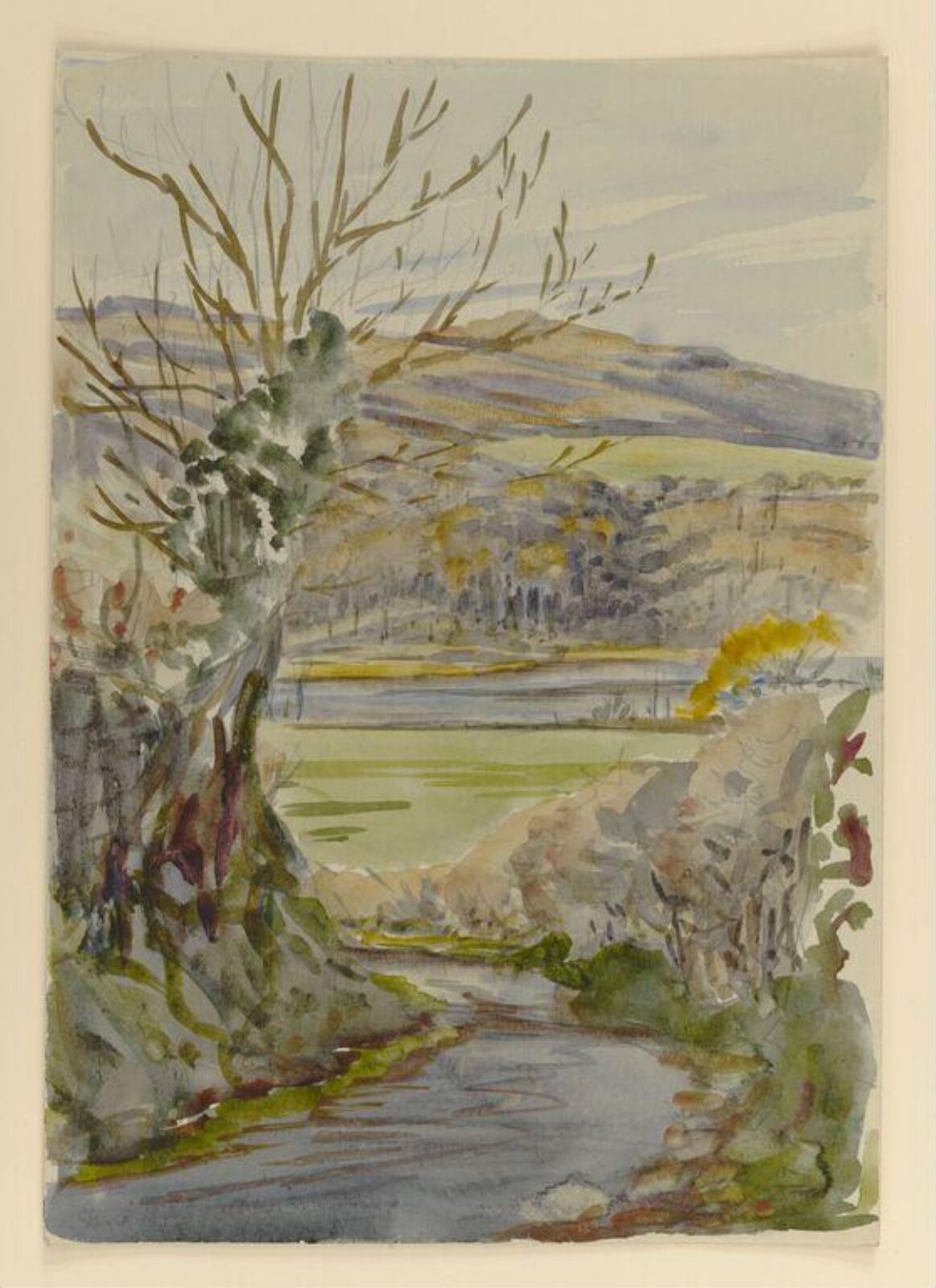 Watercolour, Beatrix Potter, 15th November 1909