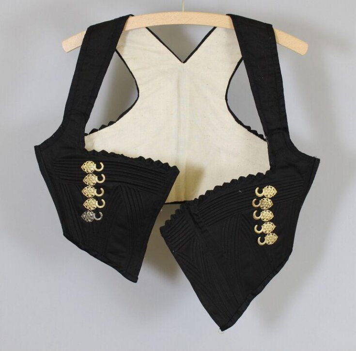 Bodice top image