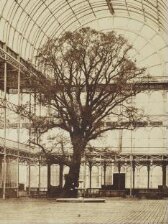 Crystal Palace Transept, Hyde Park thumbnail 2