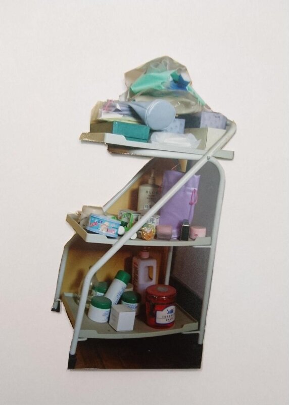 Homescape #35