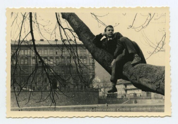 Person Up Tree People Up Trees | V&A Explore The Collections