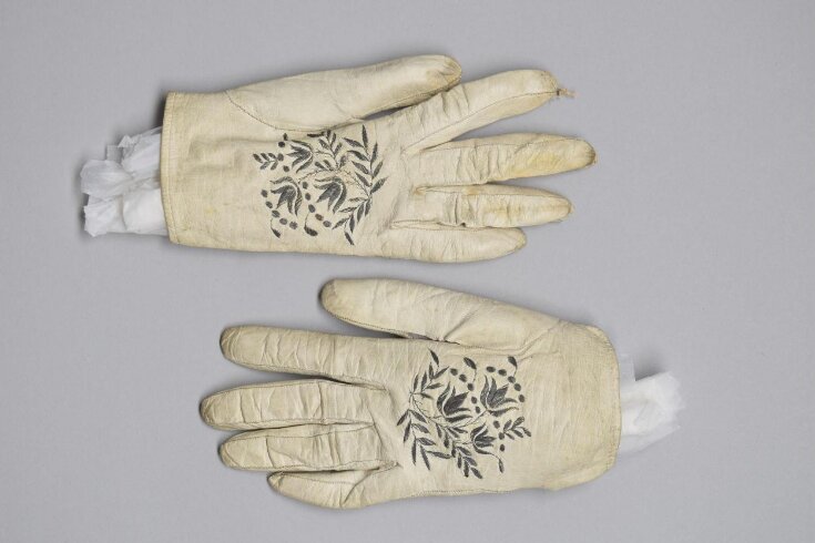 Pair of Gloves top image