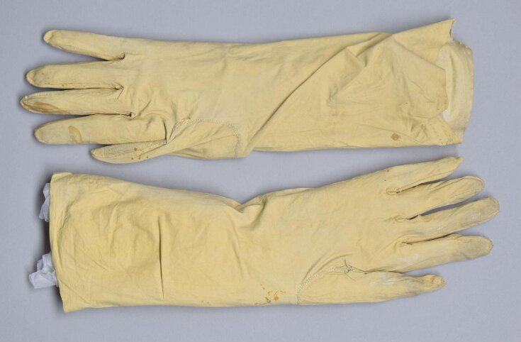 Pair of Gloves top image