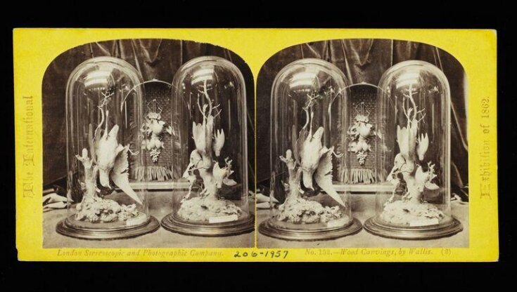 Stereograph top image