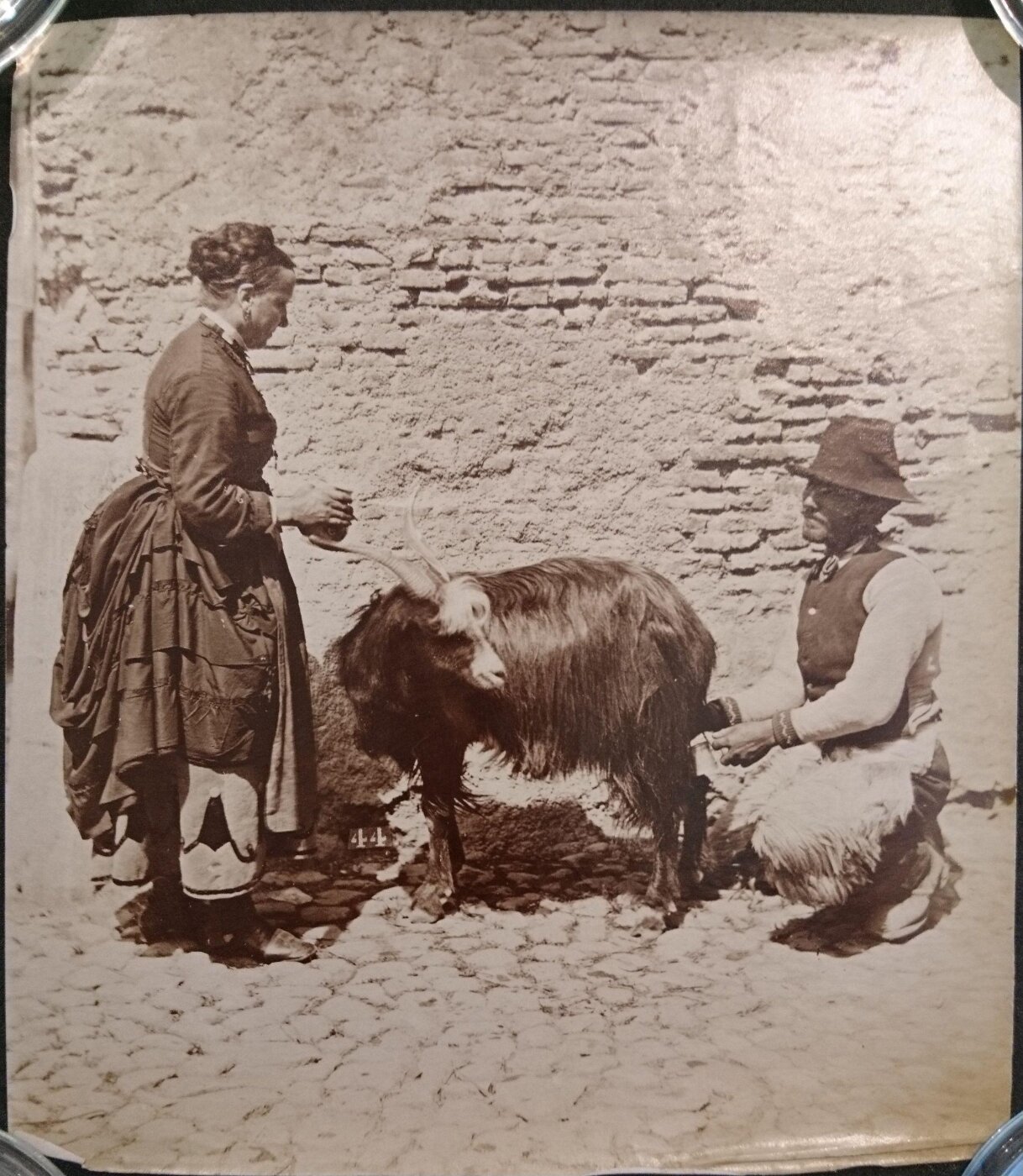 Unknown, Rural scene of a couple milking a goat, Italy