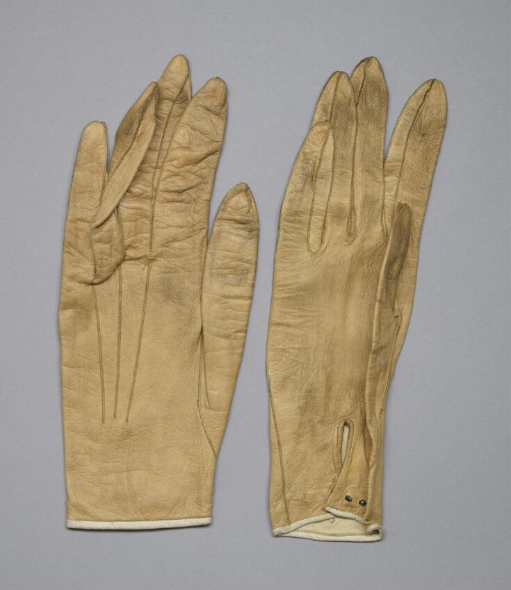 Pair of Gloves top image