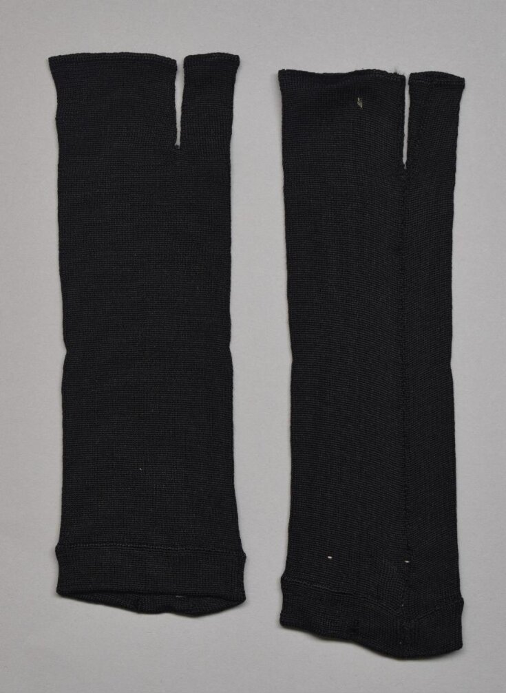 Pair of Mittens top image
