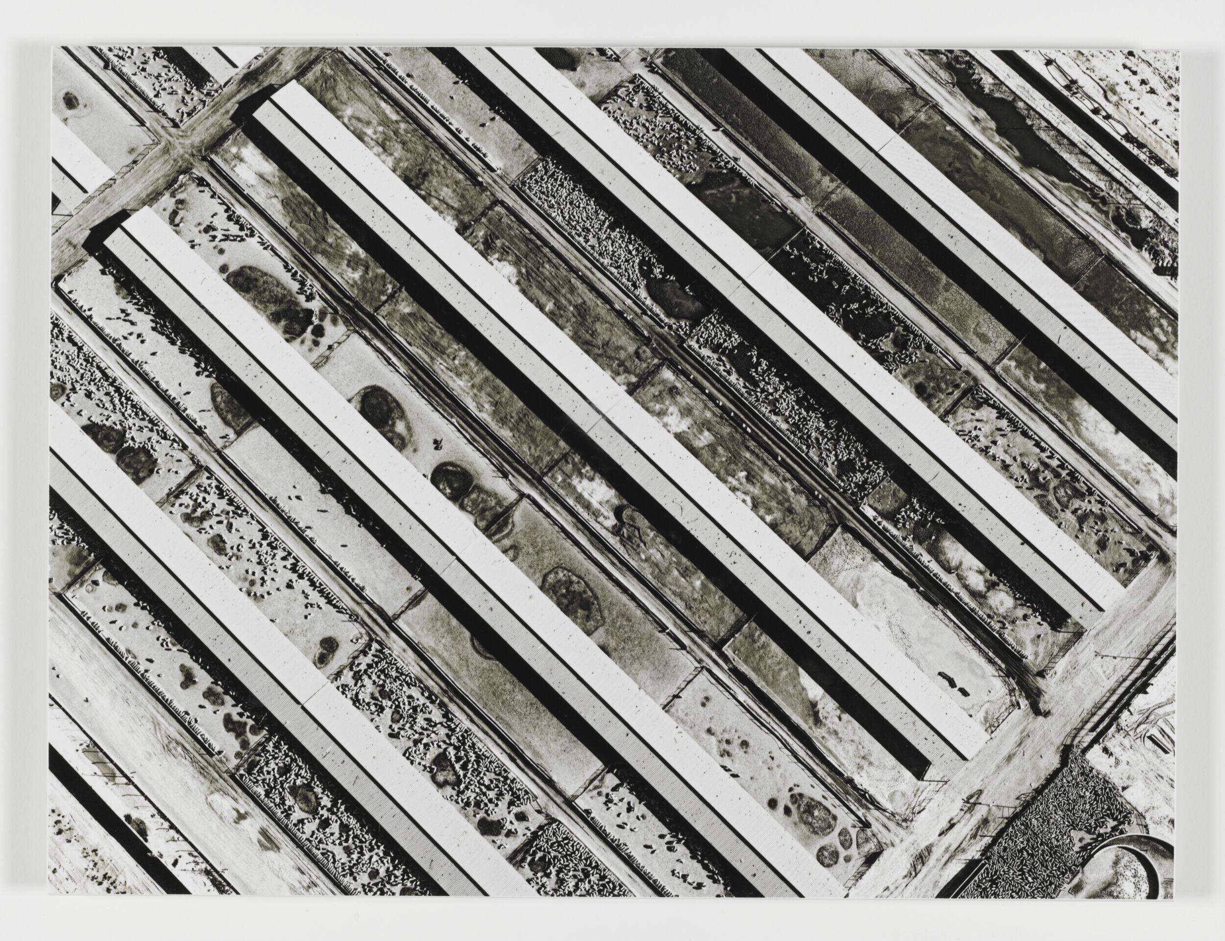 Aerial IV