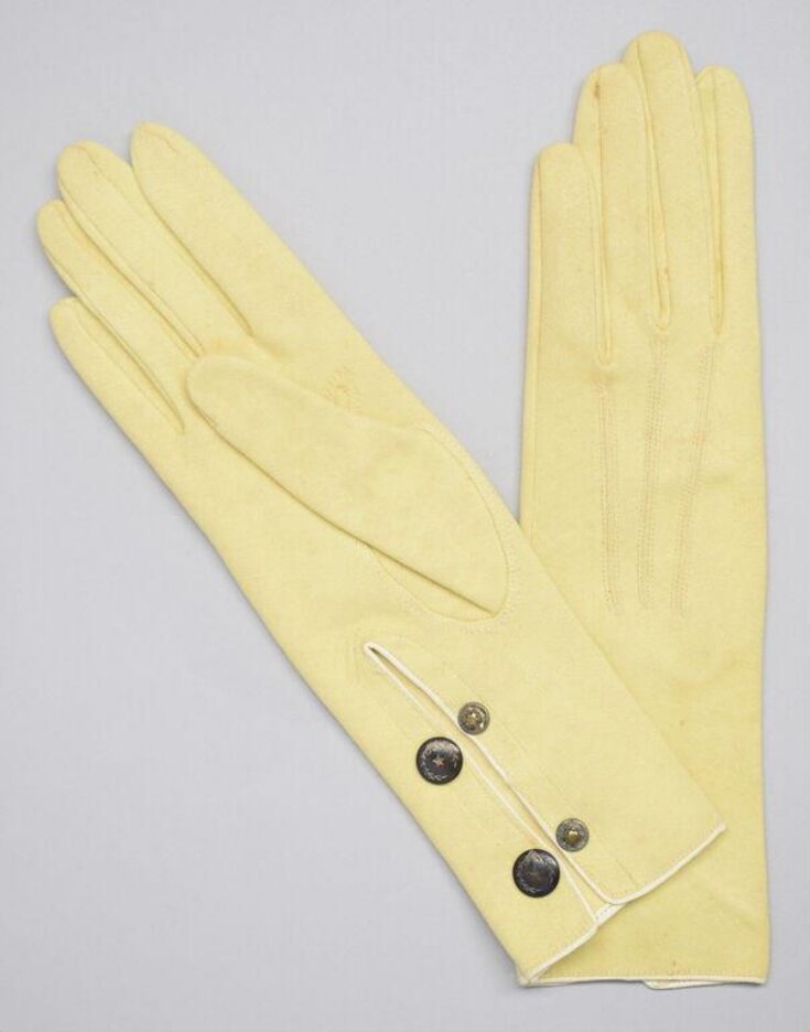 Pair of Gloves top image