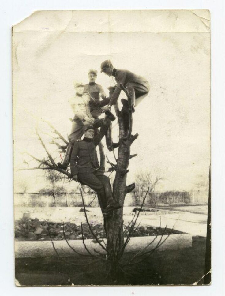 Person Up Tree People Up Trees | V&A Explore The Collections