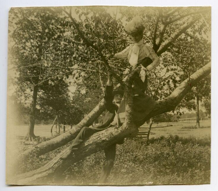 Person Up Tree People Up Trees | V&A Explore The Collections