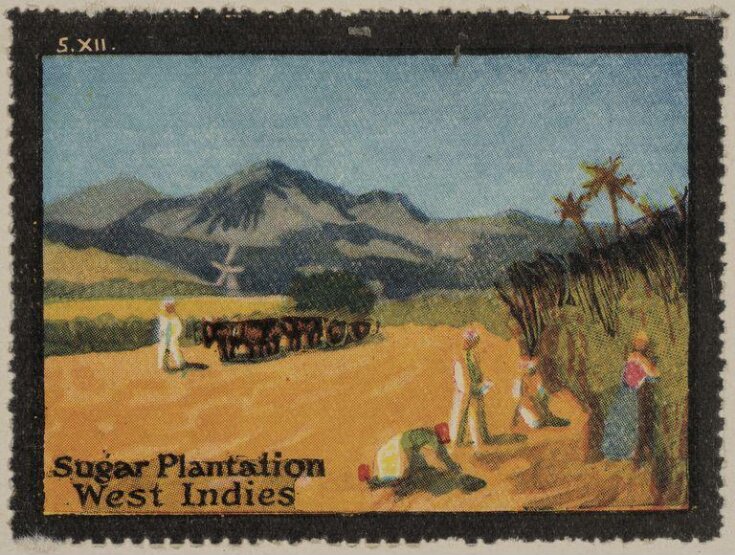 Sugar Plantation, West Indies top image