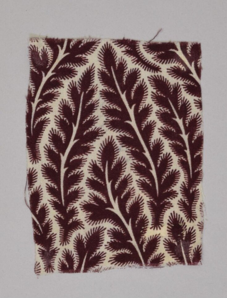 Textile Fragment top image