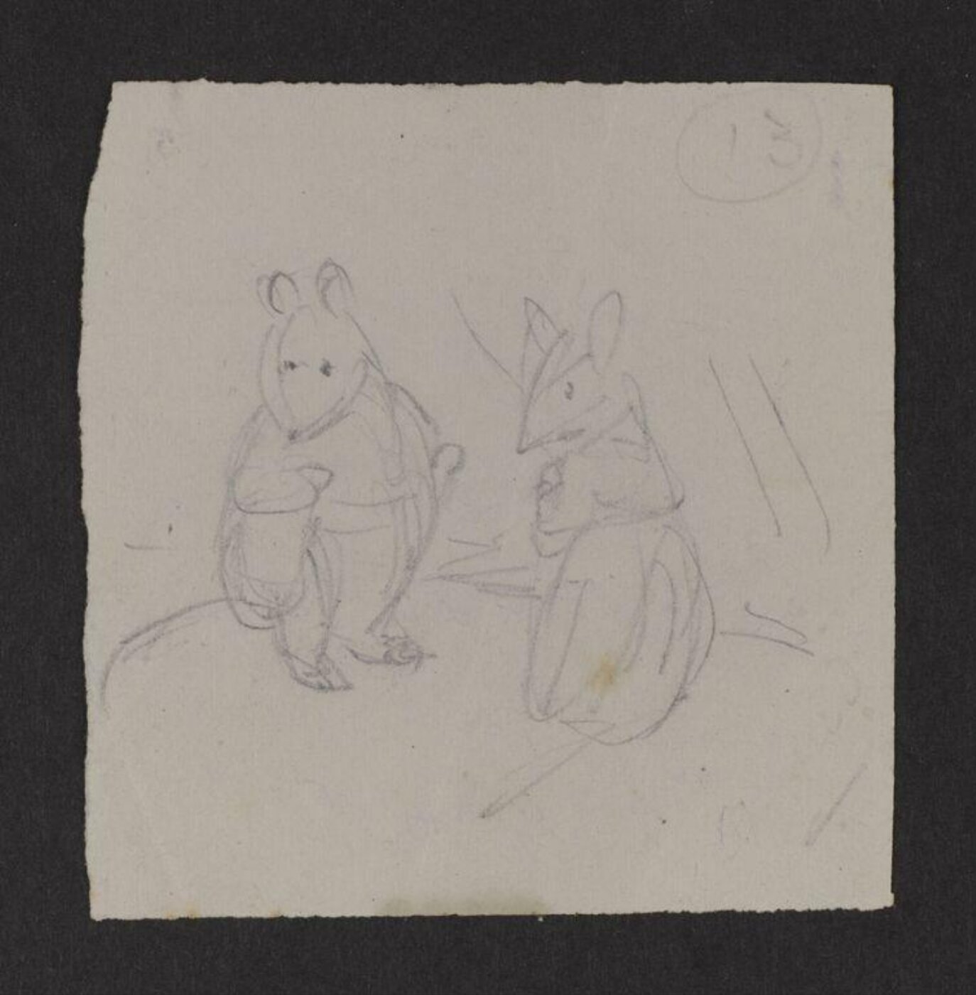 Potter, Beatrix, drawing