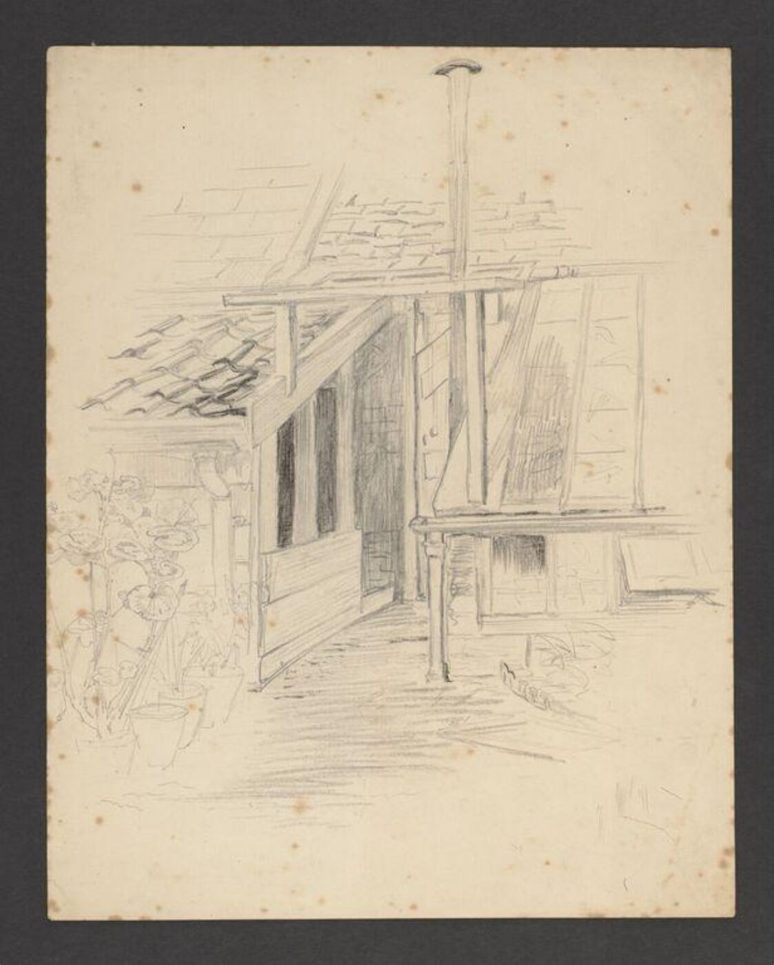Potter, Beatrix, drawing