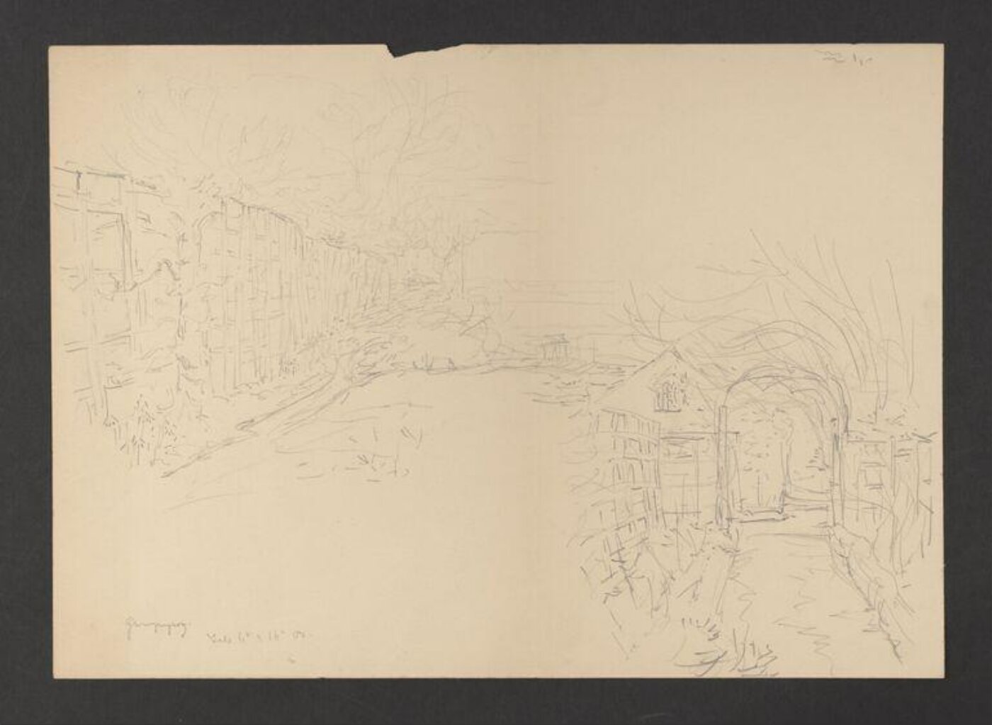 Potter, Beatrix, drawing