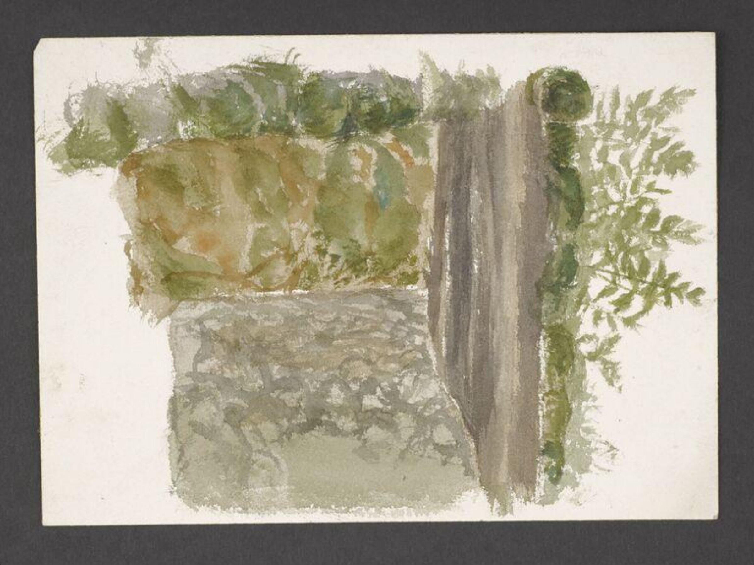 Watercolour, Beatrix Potter, late 19th century - early 20th century
