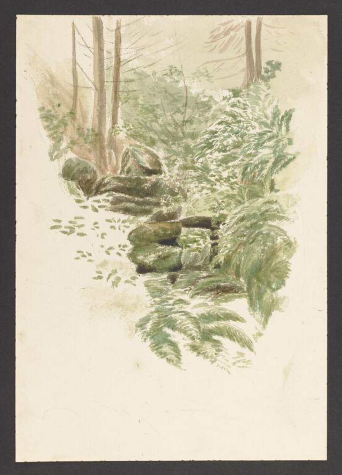 A stream running through a forest, Beatrix Potter, ca.1890-1913