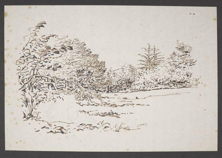 A field bordered by trees, with a rough sketch of rabbits top image