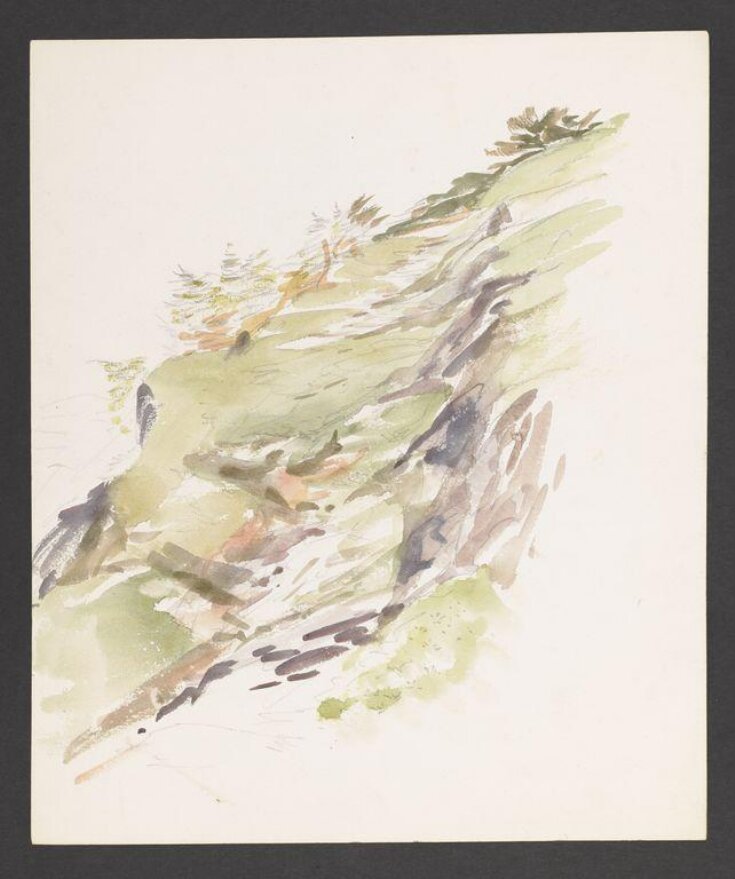 Study of a hillside path with ferns top image