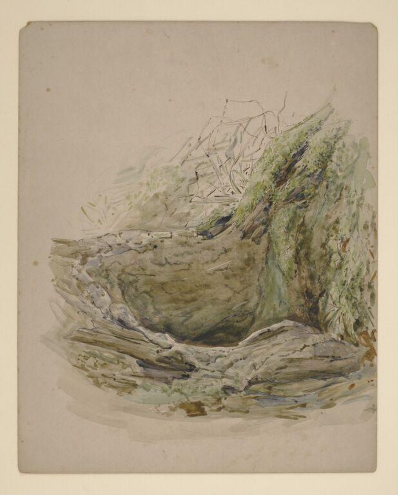 Tree hollow, Beatrix Potter, ca. 1904