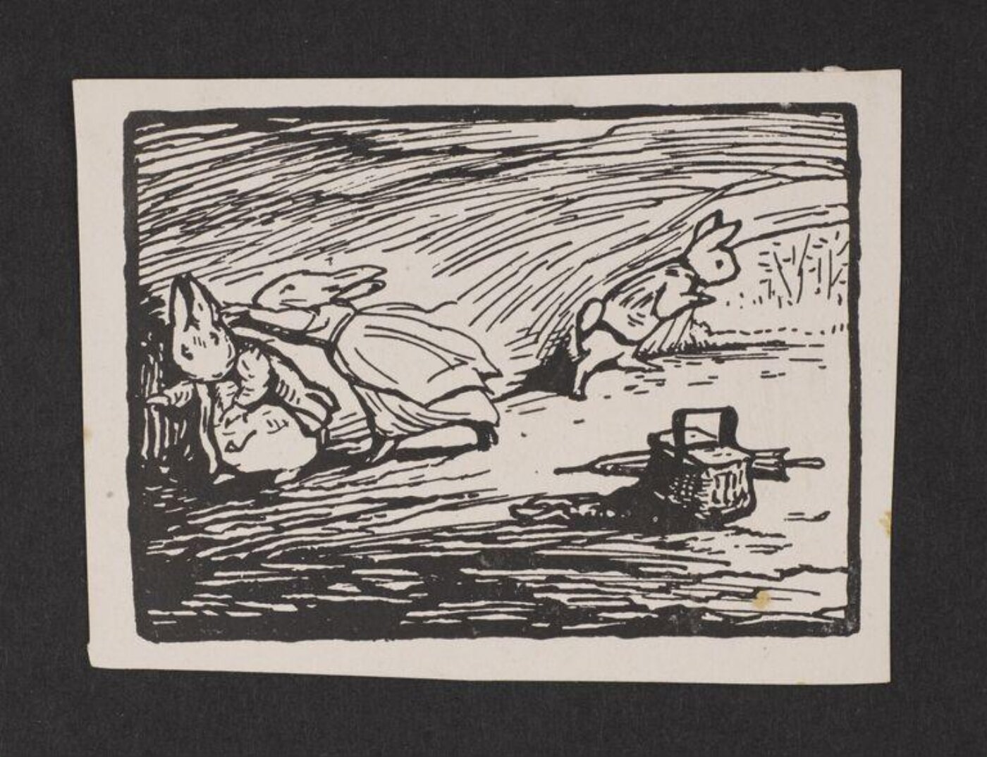 Potter, Beatrix, The Tale of Mr. Tod