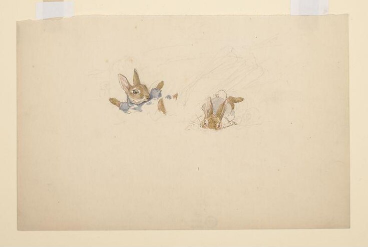 Rabbits falling into snow top image