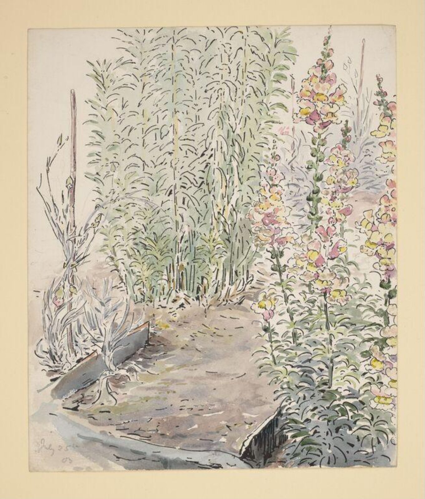 Watercolour, Beatrix Potter, 25 July 1903