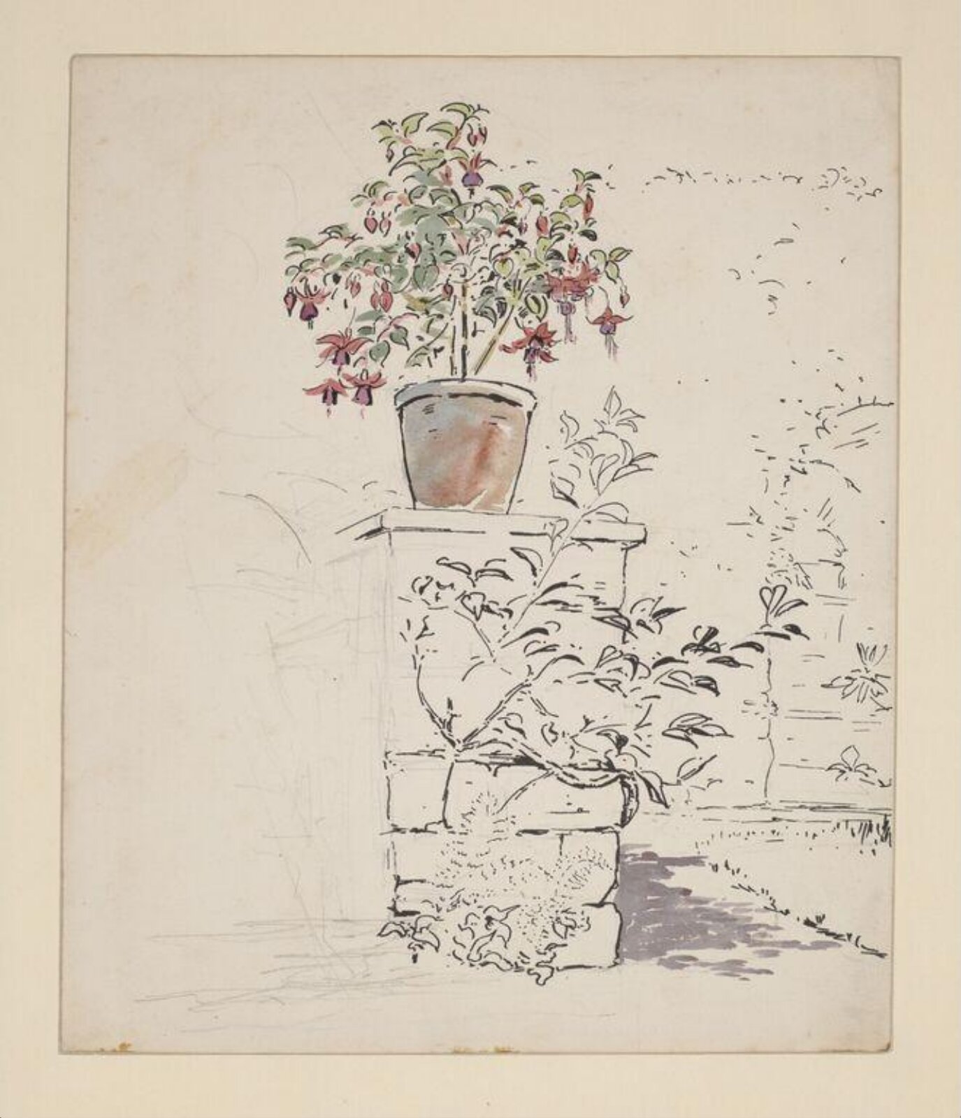 Watercolour, Beatrix Potter, ca. 1903