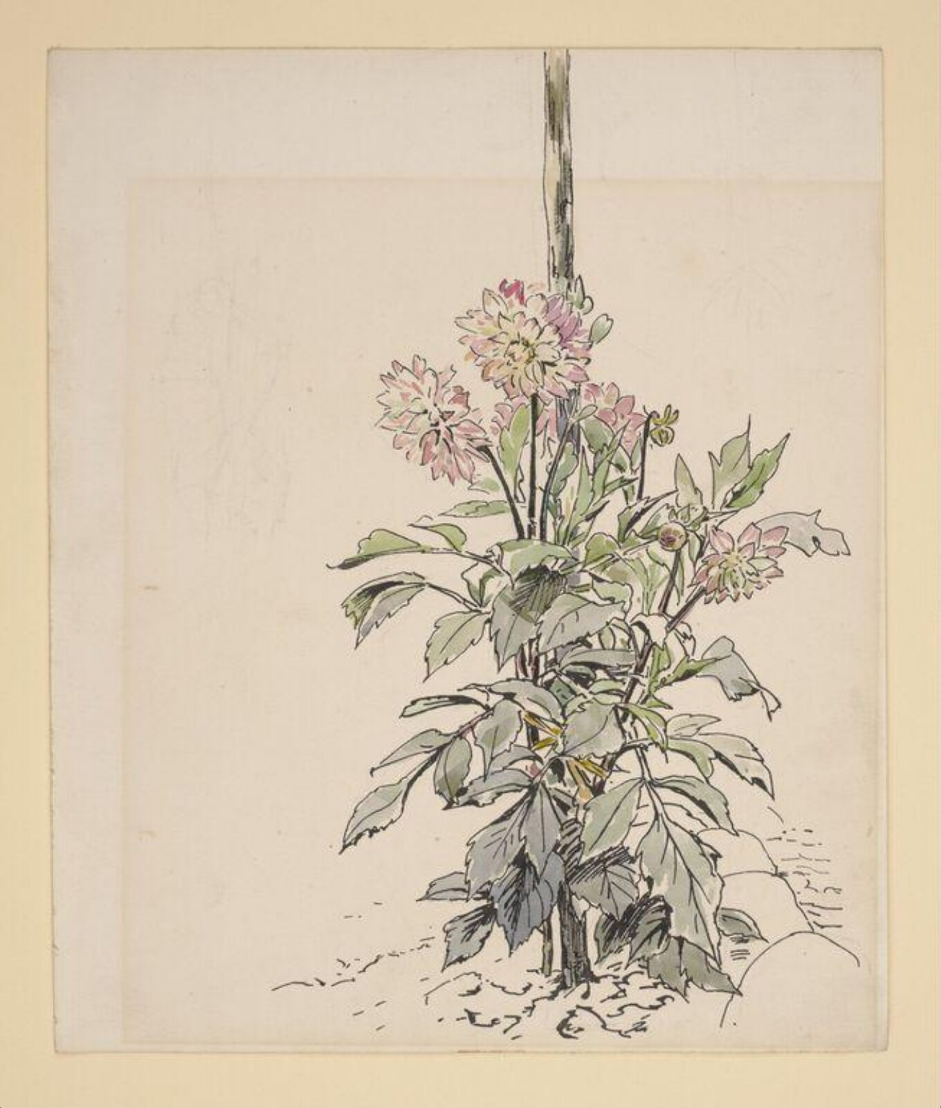 Watercolour, Beatrix Potter, ca. 1903