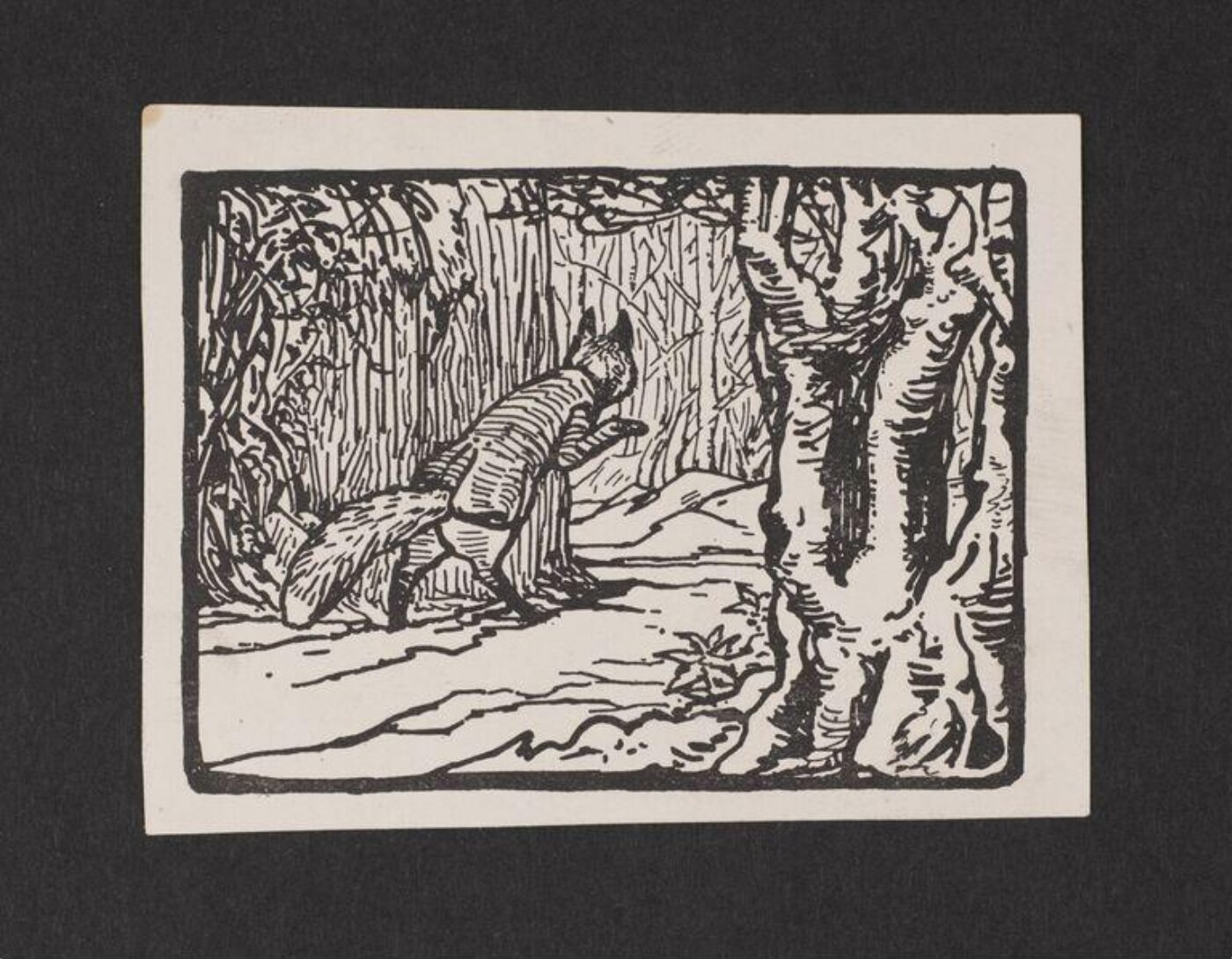 Potter, Beatrix, The Tale of Mr. Tod