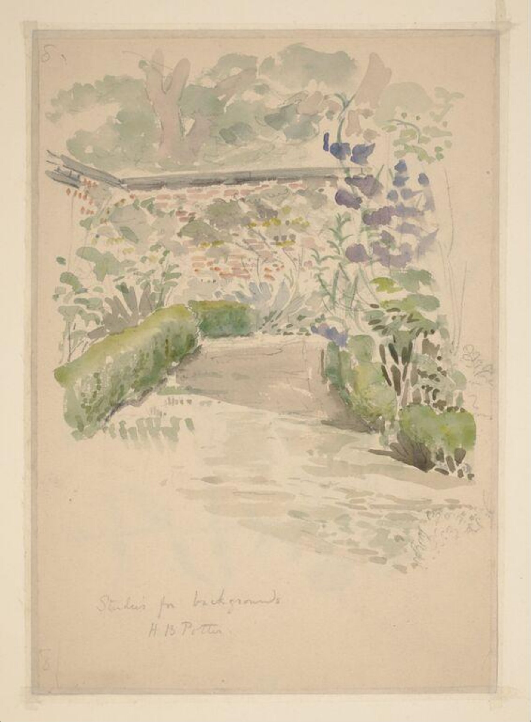 Sketch of the garden at Gwaynynog, Denbigh for <i>The Tale of the Flopsy Bunnies</i>, Beatrix Potter, 03/1909