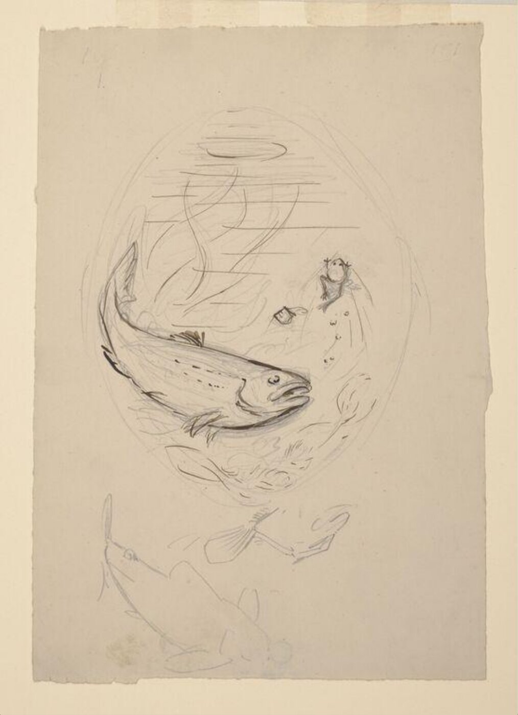 Potter, Beatrix, drawing
