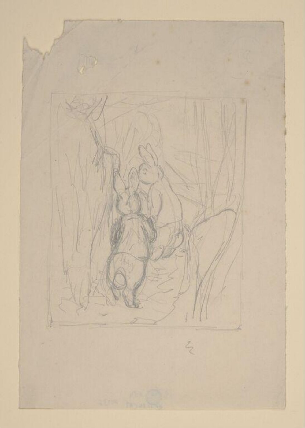 Potter, Beatrix, drawing