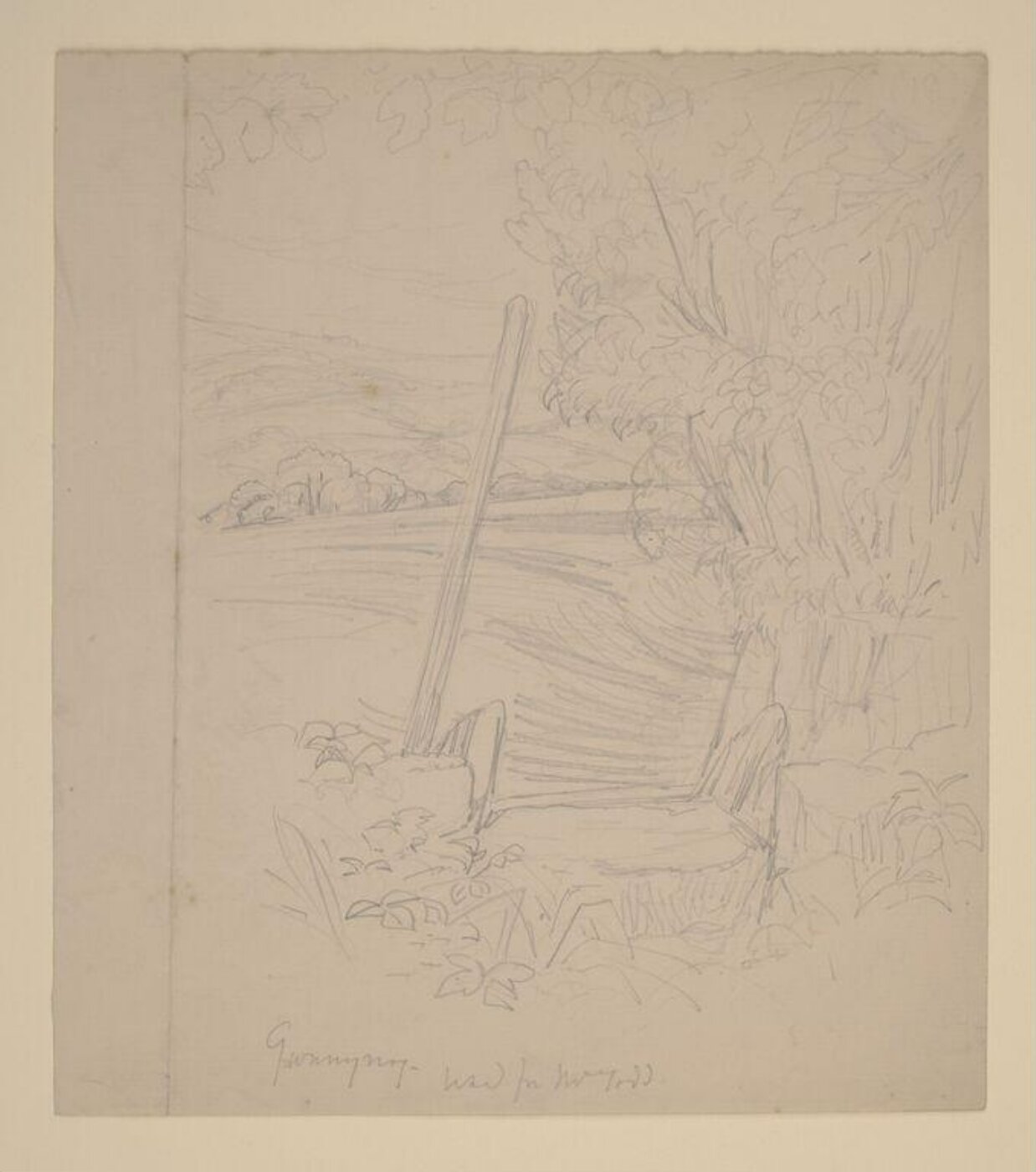 Potter, Beatrix, drawing