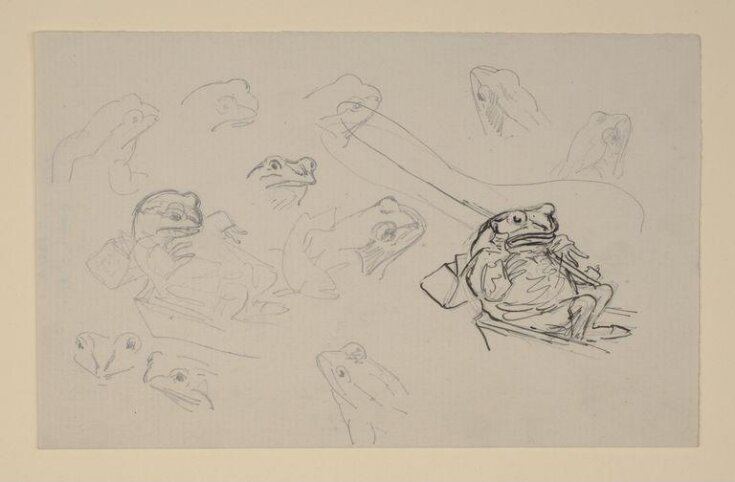 Studies of frogs top image